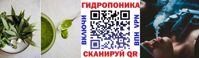 Купить закладки  Белокуриха  Печенье с ТГК марихуана 