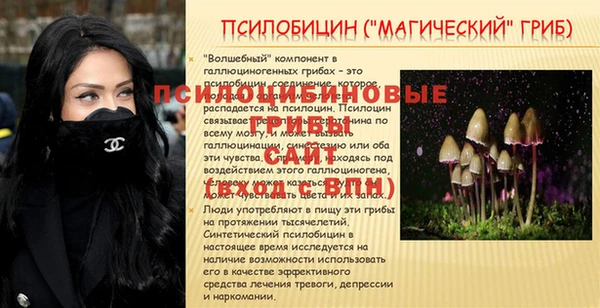 скорость Бородино