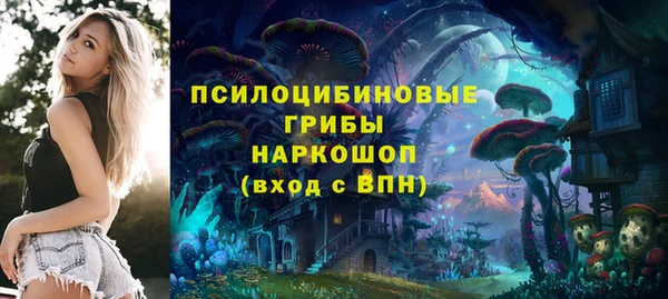 спиды Бронницы