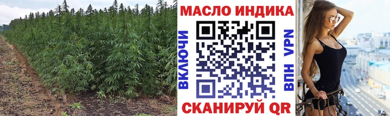 Купить где Белокуриха ТГК концентрат