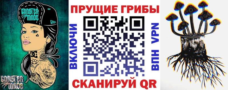 Купить закладки  Белокуриха  Псилоцибиновые грибы мухоморы 